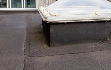 disadvantages of Down Field flat roofs