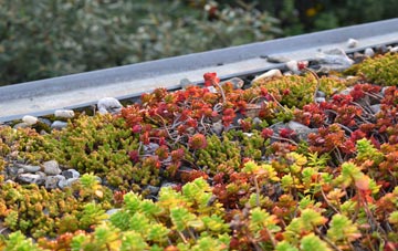 the cost of Down Field green roof installation