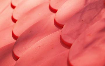 Down Field plastic roof costs