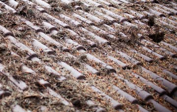 Down Field roof cleaning companies