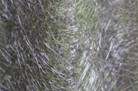 Down Field fibreglass roof work