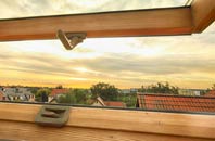 rated Down Field roof window companies